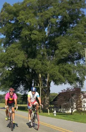Rob and Barron out for a casual Saturday ride